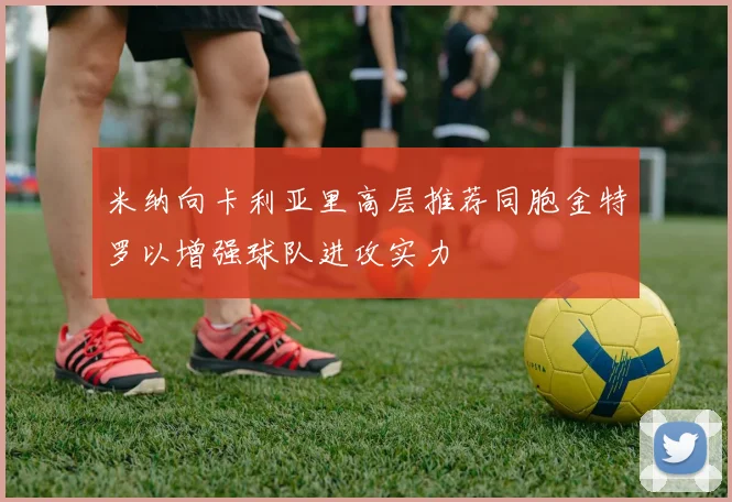 米纳向卡利亚里高层推荐同胞金特罗以增强球队进攻实力